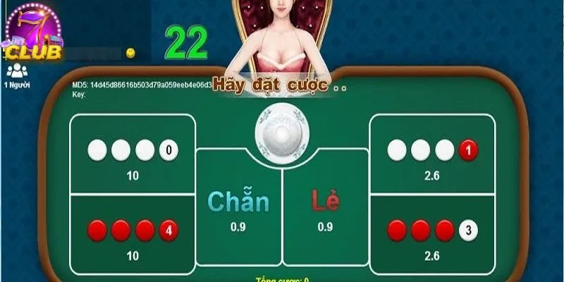 Các cửa cược cơ bản của trò chơi Các cửa cược cơ bản của trò chơi